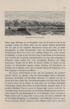 Bild der Seite - 11 - in Die österreichisch-ungarische Monarchie in Wort und Bild - Ungarn (7), Band 23