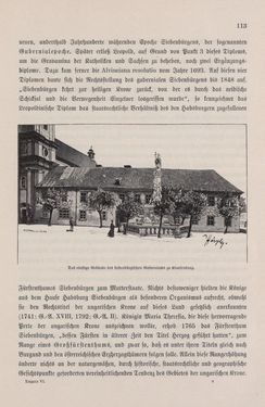 Bild der Seite - 113 - in Die österreichisch-ungarische Monarchie in Wort und Bild - Ungarn (7), Band 23