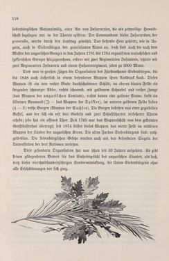 Bild der Seite - 116 - in Die österreichisch-ungarische Monarchie in Wort und Bild - Ungarn (7), Band 23