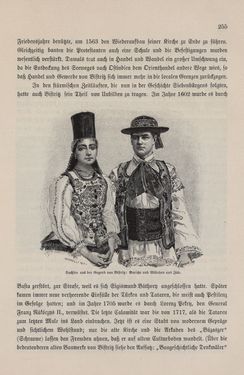 Bild der Seite - 255 - in Die österreichisch-ungarische Monarchie in Wort und Bild - Ungarn (7), Band 23