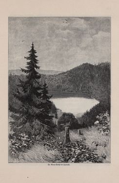 Image of the Page - 313 - in Die österreichisch-ungarische Monarchie in Wort und Bild - Ungarn (7), Volume 23