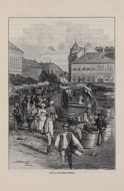 Bild der Seite - 351 - in Die österreichisch-ungarische Monarchie in Wort und Bild - Ungarn (7), Band 23