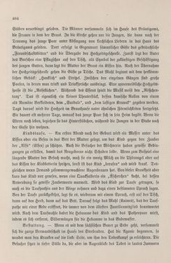 Image of the Page - 464 - in Die österreichisch-ungarische Monarchie in Wort und Bild - Ungarn (7), Volume 23