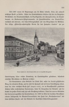 Bild der Seite - 551 - in Die österreichisch-ungarische Monarchie in Wort und Bild - Ungarn (7), Band 23