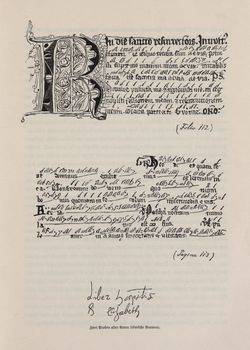 Bild der Seite - 117 - in Die österreichisch-ungarische Monarchie in Wort und Bild - Kroatien und Slawonien, Band 24