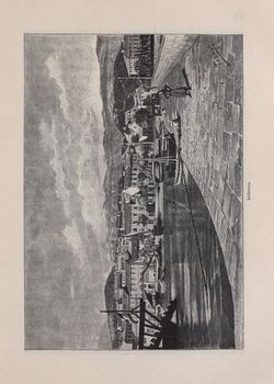 Image of the Page - 307 - in Die österreichisch-ungarische Monarchie in Wort und Bild - Kroatien und Slawonien, Volume 24