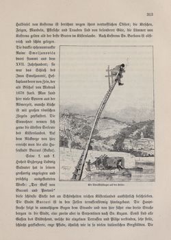 Bild der Seite - 313 - in Die österreichisch-ungarische Monarchie in Wort und Bild - Kroatien und Slawonien, Band 24