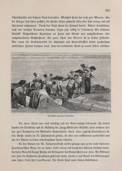Bild der Seite - 315 - in Die österreichisch-ungarische Monarchie in Wort und Bild - Kroatien und Slawonien, Band 24