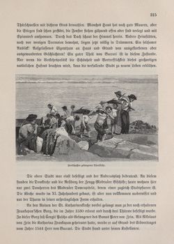 Image of the Page - 315 - in Die österreichisch-ungarische Monarchie in Wort und Bild - Kroatien und Slawonien, Volume 24