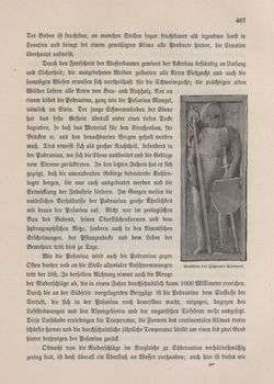 Image of the Page - 467 - in Die österreichisch-ungarische Monarchie in Wort und Bild - Kroatien und Slawonien, Volume 24