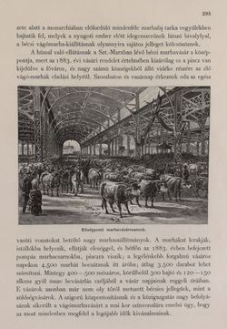 Bild der Seite - 295 - in Az Osztrák-Magyar Monarchia írásban és képben - Bécs és Alsó-Ausztria (Bécs), Band 1