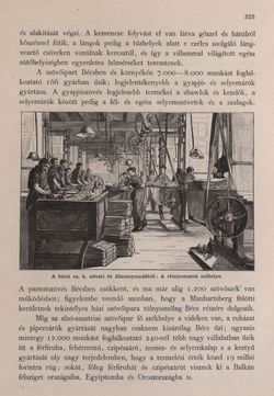 Image of the Page - 325 - in Az Osztrák-Magyar Monarchia írásban és képben - Bécs és Alsó-Ausztria (Bécs), Volume 1