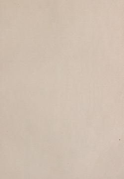 Image of the Page - (00000355) - in Az Osztrák-Magyar Monarchia írásban és képben - Bécs és Alsó-Ausztria (Bécs), Volume 1