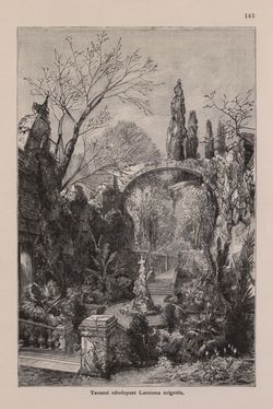 Image of the Page - 143 - in Az Osztrák-Magyar Monarchia írásban és képben - Bevezetö Kötet (I), Volume 2