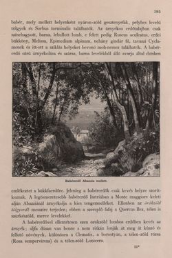 Image of the Page - 195 - in Az Osztrák-Magyar Monarchia írásban és képben - Bevezetö Kötet (I), Volume 2