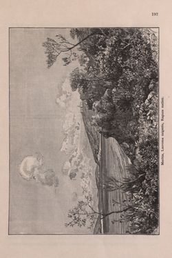 Image of the Page - 197 - in Az Osztrák-Magyar Monarchia írásban és képben - Bevezetö Kötet (I), Volume 2