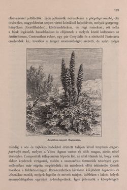 Image of the Page - 199 - in Az Osztrák-Magyar Monarchia írásban és képben - Bevezetö Kötet (I), Volume 2