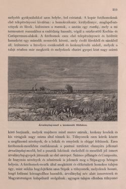 Image of the Page - 213 - in Az Osztrák-Magyar Monarchia írásban és képben - Bevezetö Kötet (I), Volume 2