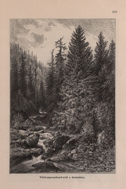 Image of the Page - 223 - in Az Osztrák-Magyar Monarchia írásban és képben - Bevezetö Kötet (I), Volume 2