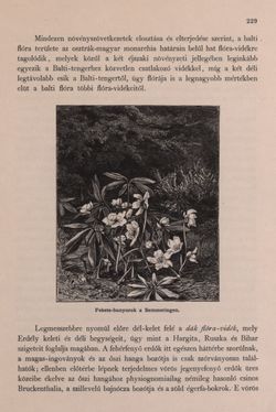 Bild der Seite - 229 - in Az Osztrák-Magyar Monarchia írásban és képben - Bevezetö Kötet (I), Band 2
