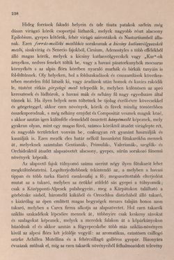 Image of the Page - 238 - in Az Osztrák-Magyar Monarchia írásban és képben - Bevezetö Kötet (I), Volume 2