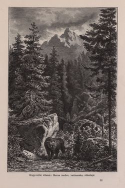 Bild der Seite - 257 - in Az Osztrák-Magyar Monarchia írásban és képben - Bevezetö Kötet (I), Band 2