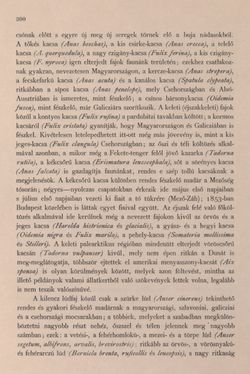 Bild der Seite - 300 - in Az Osztrák-Magyar Monarchia írásban és képben - Bevezetö Kötet (I), Band 2