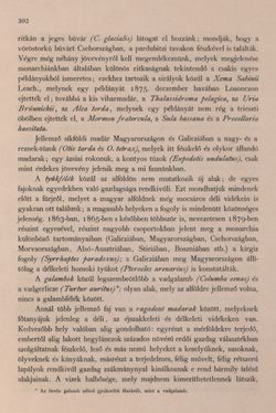 Bild der Seite - 302 - in Az Osztrák-Magyar Monarchia írásban és képben - Bevezetö Kötet (I), Band 2