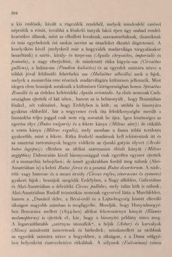 Bild der Seite - 304 - in Az Osztrák-Magyar Monarchia írásban és képben - Bevezetö Kötet (I), Band 2