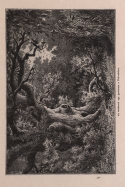 Bild der Seite - 307 - in Az Osztrák-Magyar Monarchia írásban és képben - Bevezetö Kötet (I), Band 2