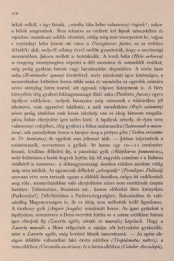 Image of the Page - 310 - in Az Osztrák-Magyar Monarchia írásban és képben - Bevezetö Kötet (I), Volume 2