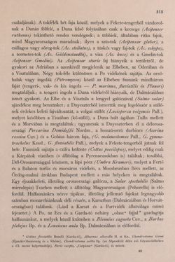 Image of the Page - 313 - in Az Osztrák-Magyar Monarchia írásban és képben - Bevezetö Kötet (I), Volume 2