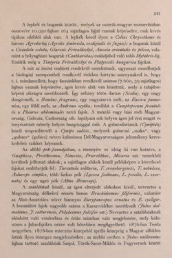 Image of the Page - 317 - in Az Osztrák-Magyar Monarchia írásban és képben - Bevezetö Kötet (I), Volume 2