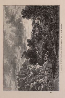 Image of the Page - 321 - in Az Osztrák-Magyar Monarchia írásban és képben - Bevezetö Kötet (I), Volume 2