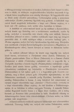 Image of the Page - 323 - in Az Osztrák-Magyar Monarchia írásban és képben - Bevezetö Kötet (I), Volume 2