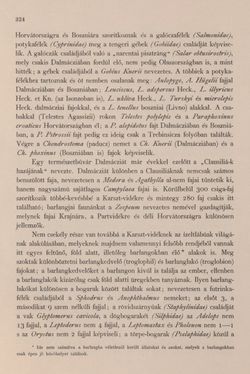 Bild der Seite - 324 - in Az Osztrák-Magyar Monarchia írásban és képben - Bevezetö Kötet (I), Band 2