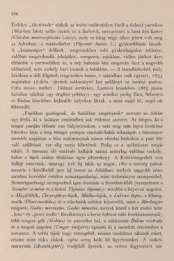 Bild der Seite - 326 - in Az Osztrák-Magyar Monarchia írásban és képben - Bevezetö Kötet (I), Band 2