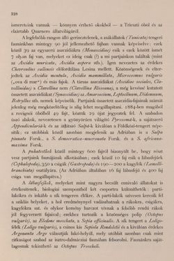 Bild der Seite - 328 - in Az Osztrák-Magyar Monarchia írásban és képben - Bevezetö Kötet (I), Band 2