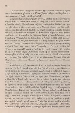 Bild der Seite - 334 - in Az Osztrák-Magyar Monarchia írásban és képben - Bevezetö Kötet (I), Band 2