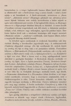 Bild der Seite - 336 - in Az Osztrák-Magyar Monarchia írásban és képben - Bevezetö Kötet (I), Band 2