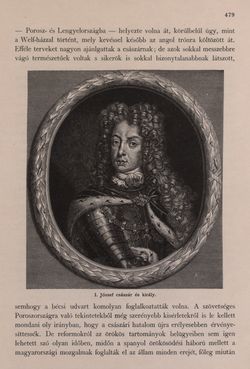 Bild der Seite - 479 - in Az Osztrák-Magyar Monarchia írásban és képben - Bevezetö Kötet (II), Band 3