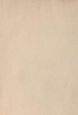 Image of the Page - (ev00004) - in Az Osztrák-Magyar Monarchia írásban és képben - Bevezetö Kötet (II), Volume 3