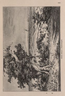 Image of the Page - 345 - in Az Osztrák-Magyar Monarchia írásban és képben - Bécs és Alsó-Ausztria (Alsó-Ausztria), Volume 4