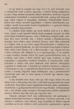 Image of the Page - 348 - in Az Osztrák-Magyar Monarchia írásban és képben - Bécs és Alsó-Ausztria (Alsó-Ausztria), Volume 4