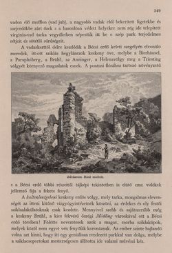 Image of the Page - 349 - in Az Osztrák-Magyar Monarchia írásban és képben - Bécs és Alsó-Ausztria (Alsó-Ausztria), Volume 4