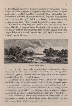 Image of the Page - 439 - in Az Osztrák-Magyar Monarchia írásban és képben - Bécs és Alsó-Ausztria (Alsó-Ausztria), Volume 4