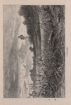 Image of the Page - 441 - in Az Osztrák-Magyar Monarchia írásban és képben - Bécs és Alsó-Ausztria (Alsó-Ausztria), Volume 4