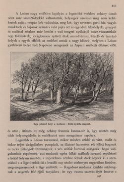 Bild der Seite - 443 - in Az Osztrák-Magyar Monarchia írásban és képben - Bécs és Alsó-Ausztria (Alsó-Ausztria), Band 4