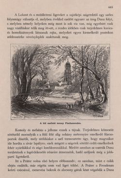 Image of the Page - 445 - in Az Osztrák-Magyar Monarchia írásban és képben - Bécs és Alsó-Ausztria (Alsó-Ausztria), Volume 4