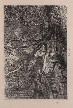 Image of the Page - 449 - in Az Osztrák-Magyar Monarchia írásban és képben - Bécs és Alsó-Ausztria (Alsó-Ausztria), Volume 4